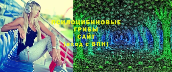 амф Кулебаки