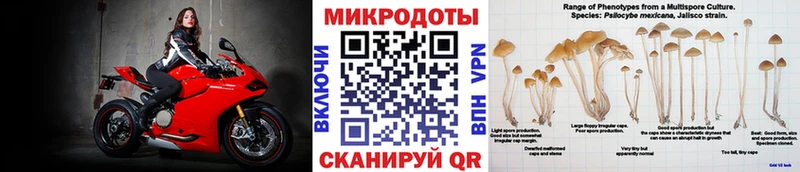 Псилоцибиновые грибы GOLDEN TEACHER  Купить  Златоуст 